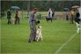 DSC_4053