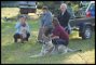 DSC_0141