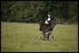 _DSC1245